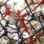 交叉する空間構造