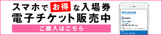 電子チケット情報