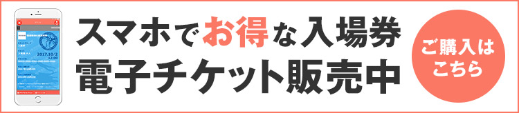 電子チケット情報