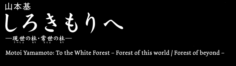 しろきもりへ
