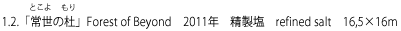 1.2.「常世の杜」Forest of Beyond　2011年　精製塩　refined salt　16,5×16m