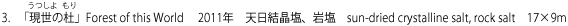 3.   「現世の杜」Forest of this World 　2011年　天日結晶塩、岩塩　sun-dried crystalline salt, rock salt　17×9m